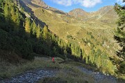 89 Dal sent. 217 dei Tre Pizzi vista sul sent. 215 per il Passo di Mezzeno-Laghi Gemelli